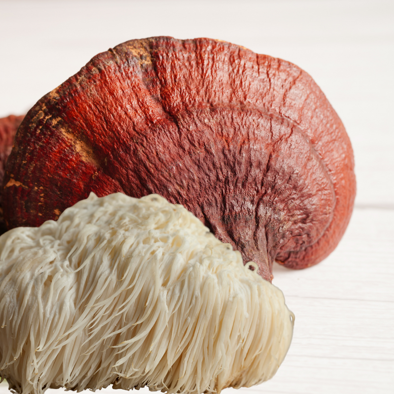 Enhancing Your Coffee Ritual: The Powerful Benefits of Lion's Mane and Reishi Mushrooms