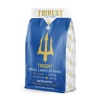 Trident